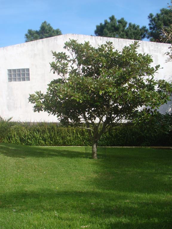 Apartament Casa Merces Angra do Heroísmo